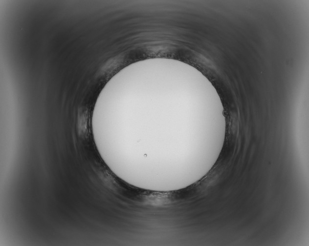 X0000086310138200704202010