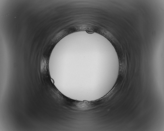 X0000086310142200704202009