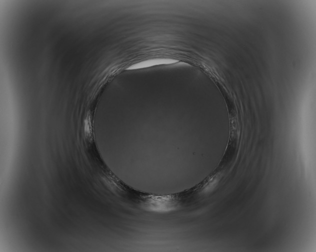 X0000086310143200704202009