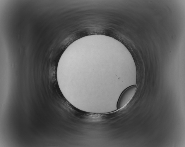 X0000086310144200704202009