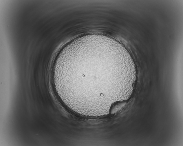 X0000086310145200704202009