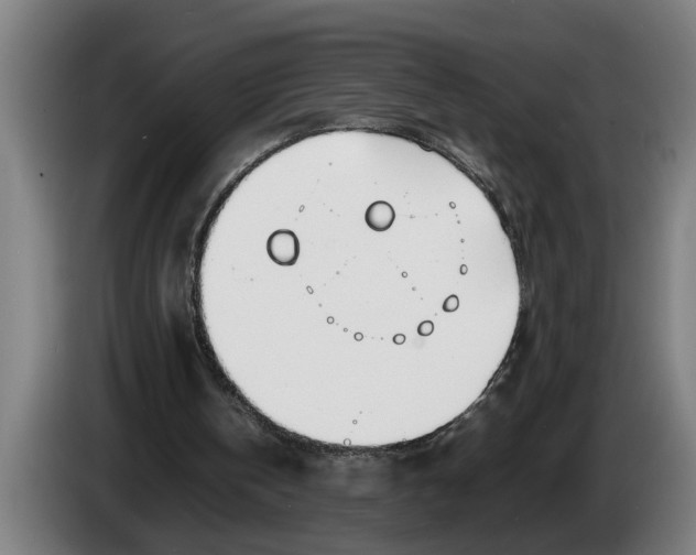 X0000086310146200704202009