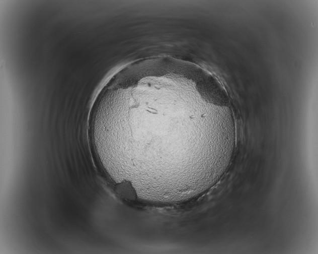 X0000086310147200704202009