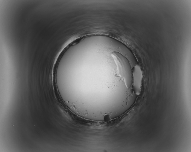 X0000086310148200704202009