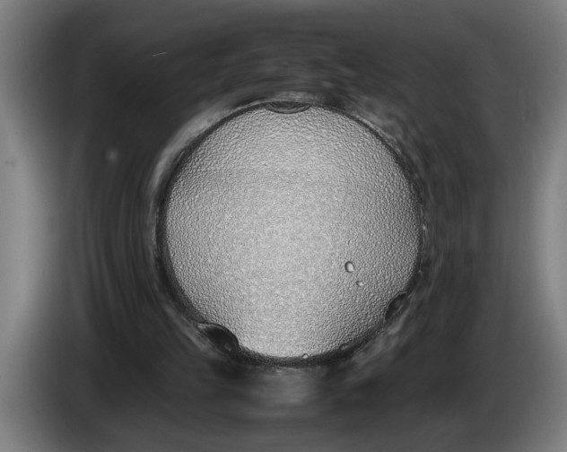 X0000086310149200704202009