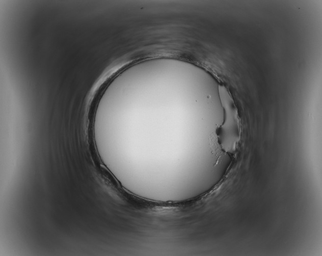 X0000086310150200704202009