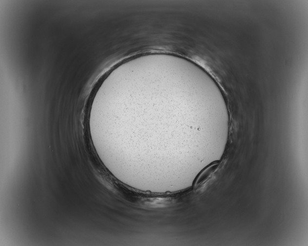 X0000086310151200704202009