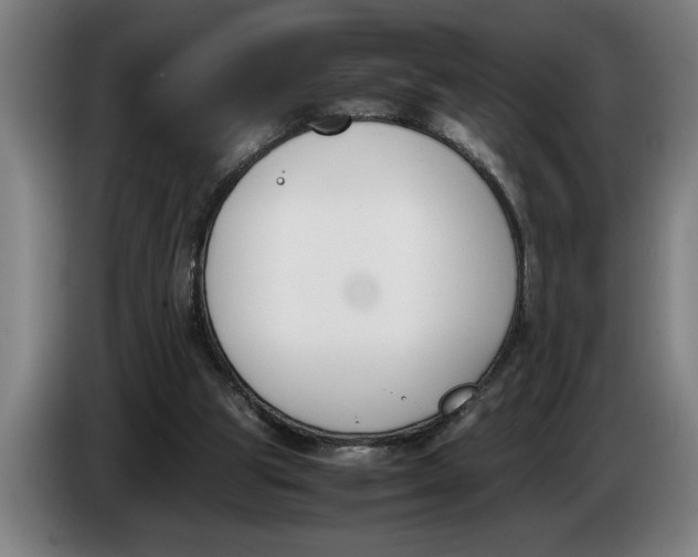 X0000086310153200704202009