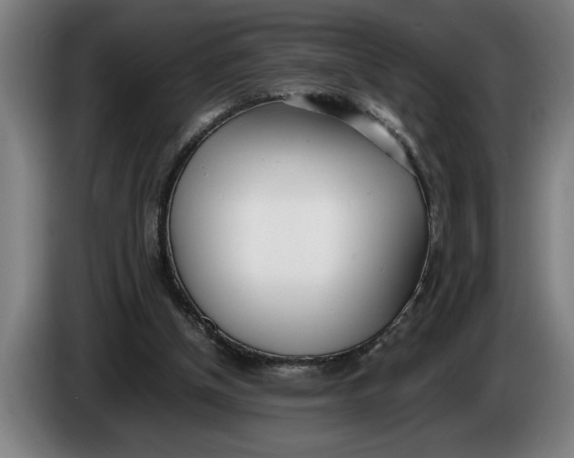 X0000086310154200704202009