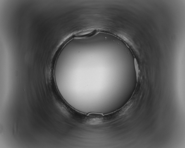 X0000086310156200704202009