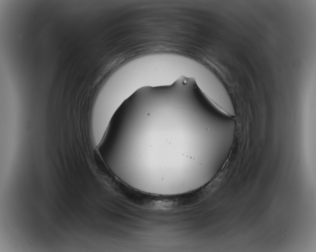 X0000086310158200704202009