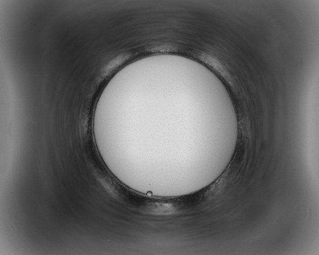 X0000086310159200704202009