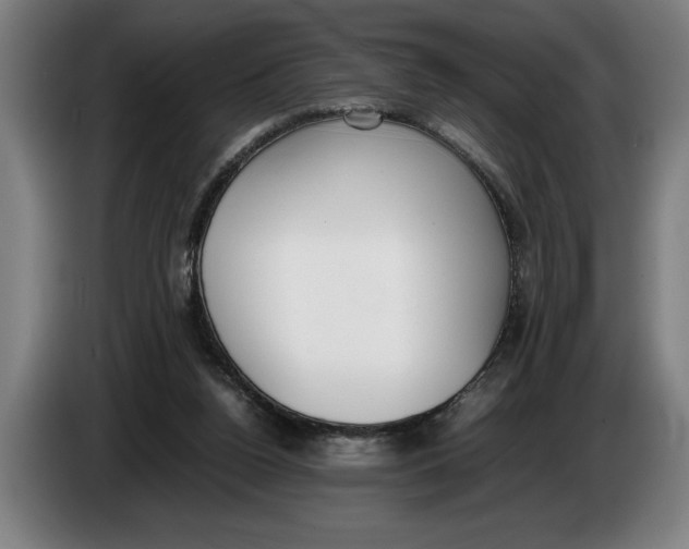 X0000086310160200704202009