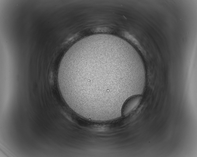 X0000086310161200704202009