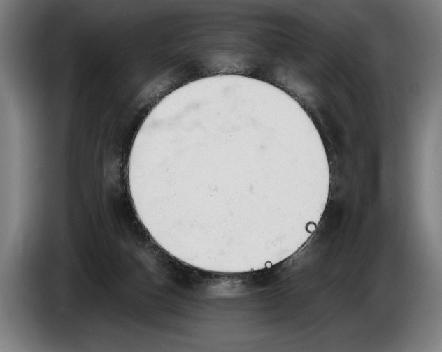 X0000086310162200704202009