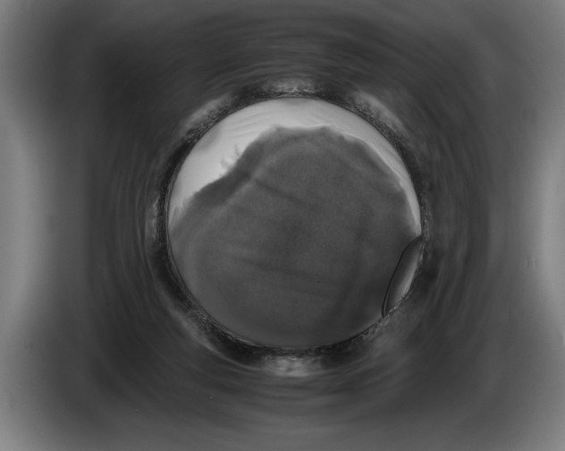 X0000086310163200704202009