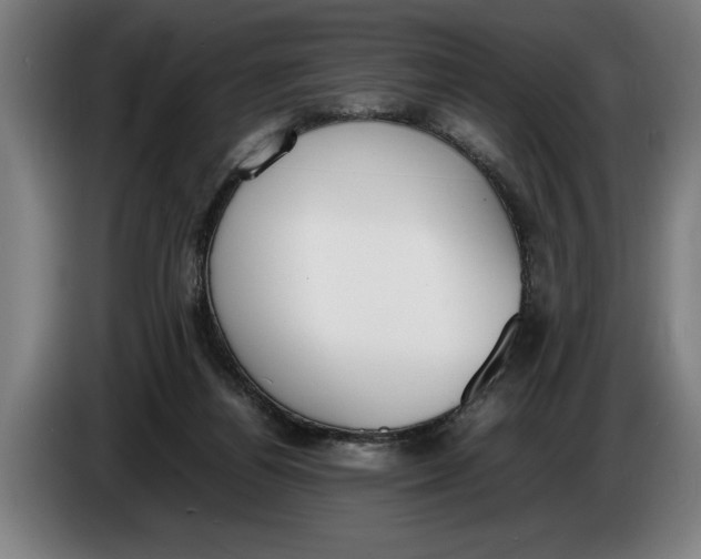 X0000086310164200704202009