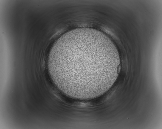 X0000086310165200704202009