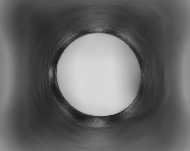 X0000086310166200704202009