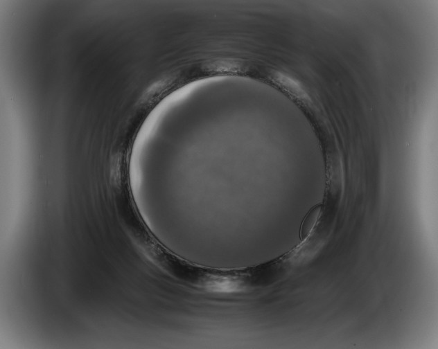 X0000086310167200704202009