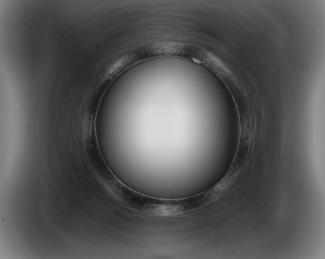 X0000086310168200704202009