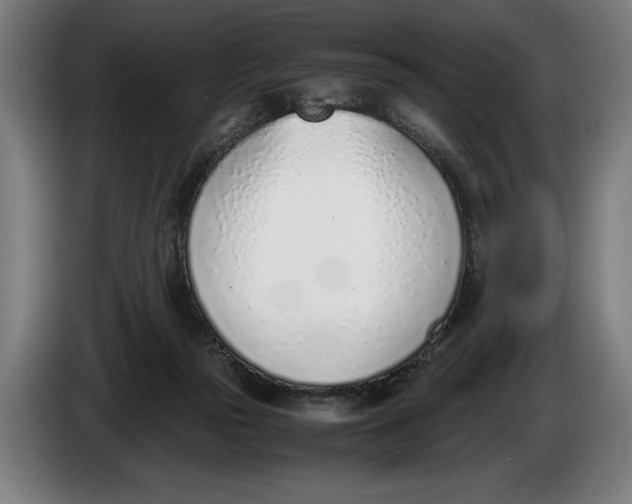 X0000086310169200704202009