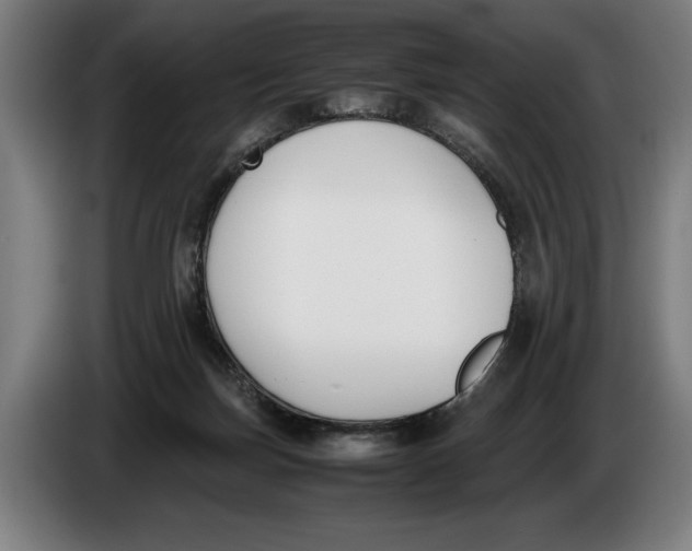 X0000086310171200704202009