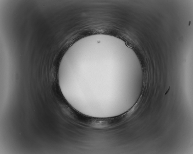 X0000086310174200704202009