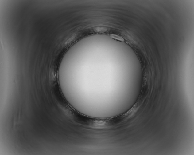 X0000086310176200704202009