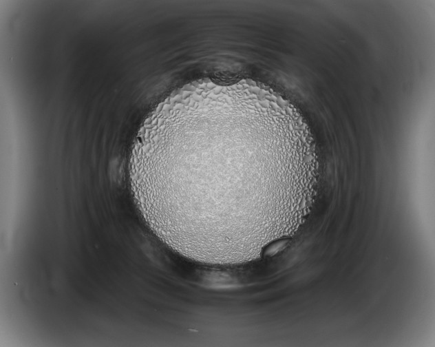 X0000086310177200704202009