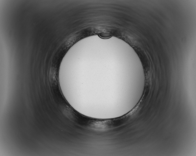 X0000086310178200704202009