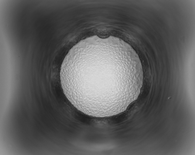 X0000086310181200704202009