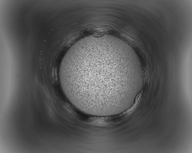 X0000086310182200704202009