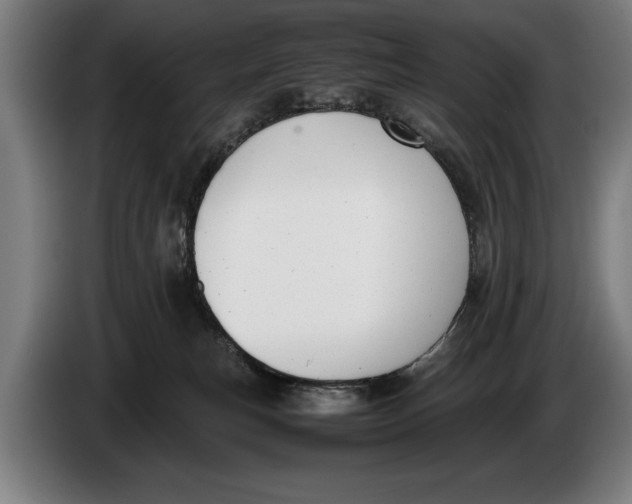 X0000086310183200704202009