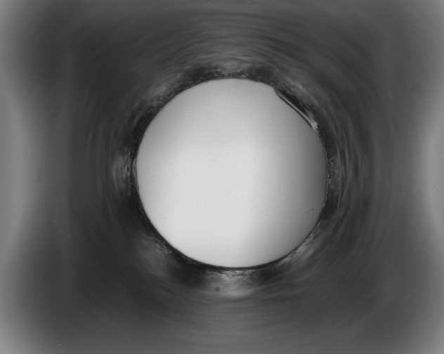 X0000086310184200704202009