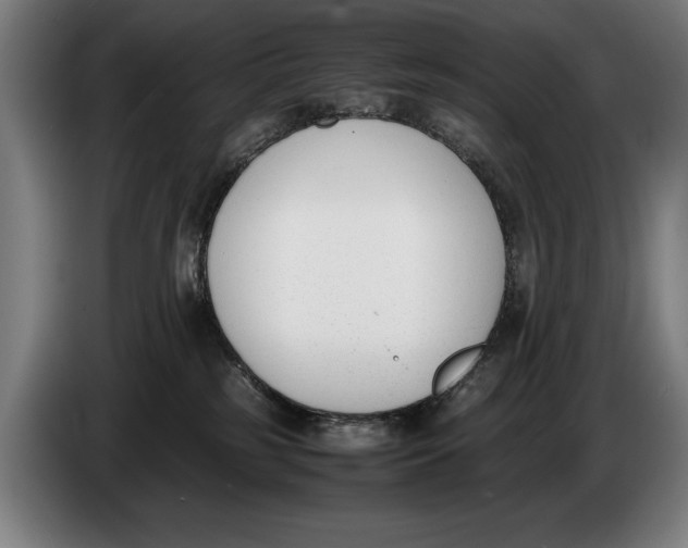 X0000086310185200704202009