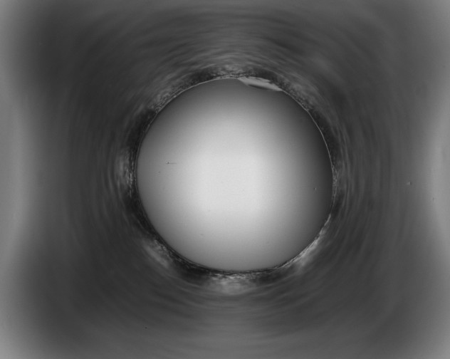 X0000086310186200704202009