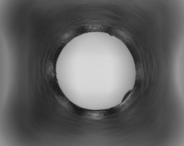 X0000086310187200704202009