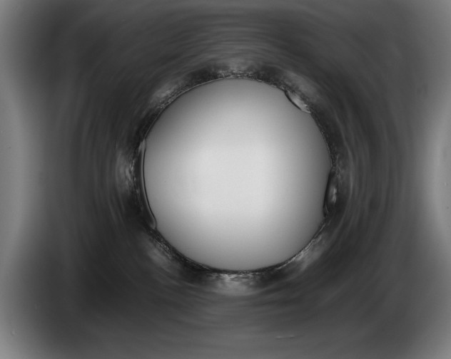 X0000086310188200704202009