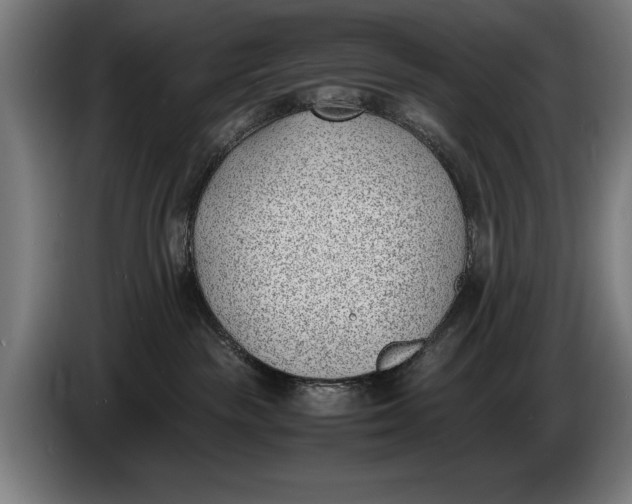 X0000086310189200704202009