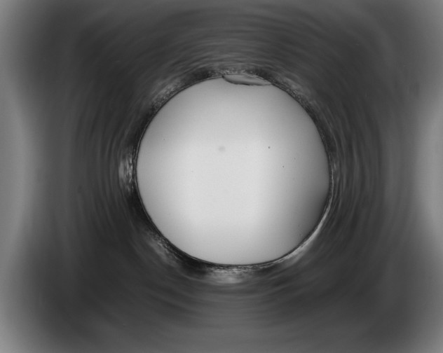 X0000086310190200704202009