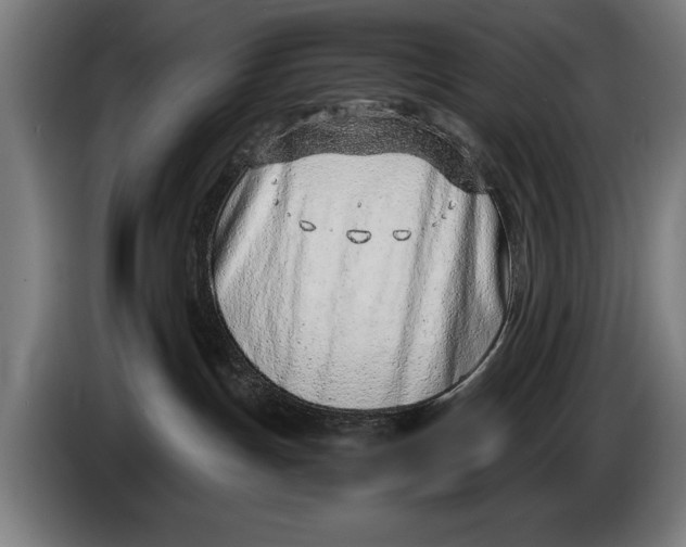 X0000086310191200704202009