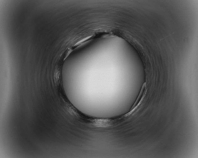 X0000086310192200704202009