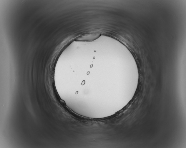 X0000086310193200704202009