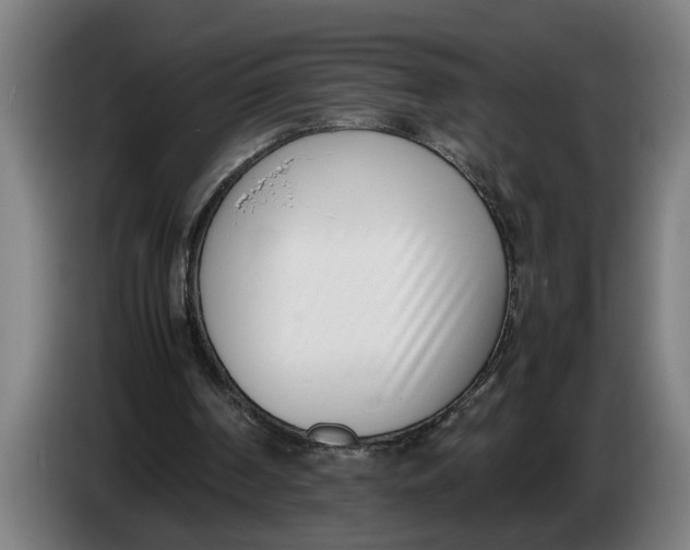 X0000086310194200704202009