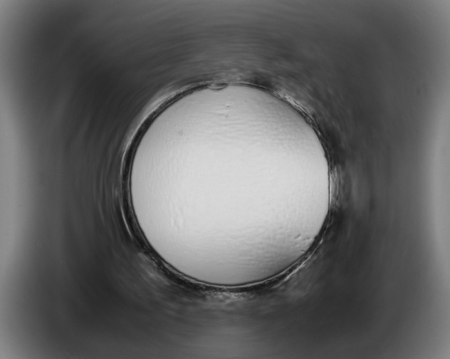 X0000086310195200704202009