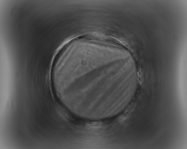 X0000086310196200704202009