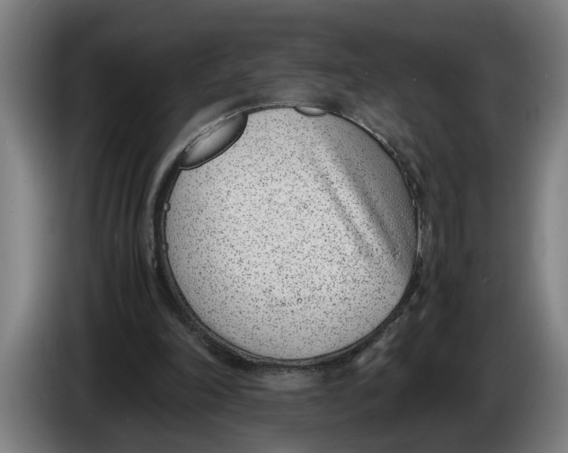 X0000086310198200704202009