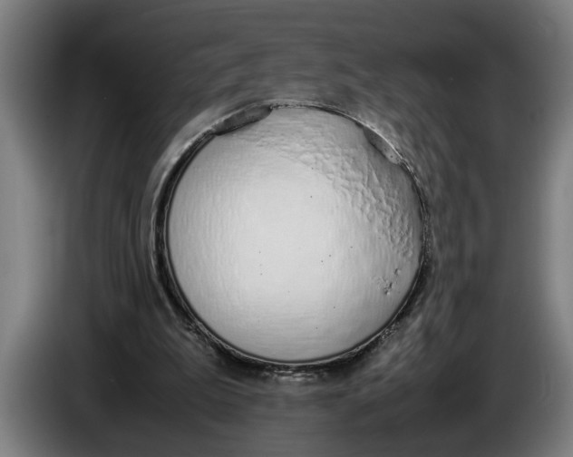 X0000086310199200704202009