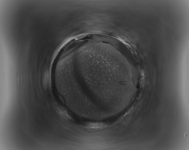 X0000086310200200704202009